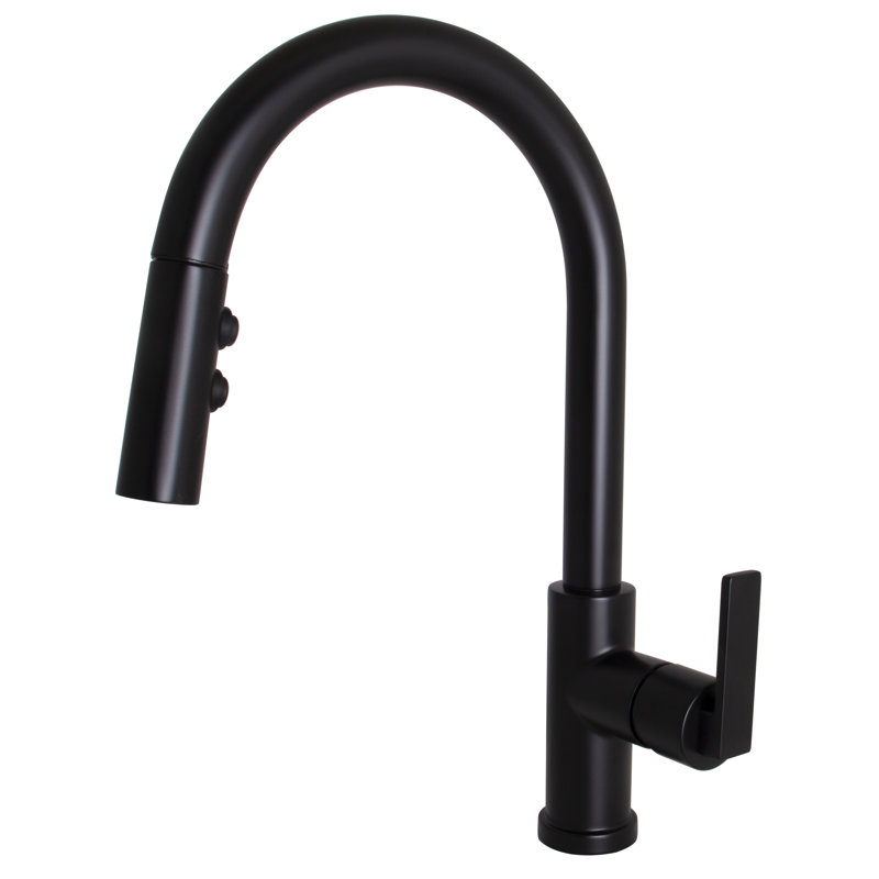 Single Handle Kitchen Faucet with Side Spray, Black