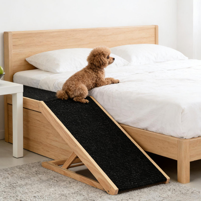 Rampe réglable pour animaux de compagnie d'intérieur, réglage de la hauteur à quatre vitesses, plateforme en pin glissant, chien sans assemblage avec hauteur, conception pliable, surface et matériau