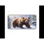 Polyester Desk Pad-2104126599