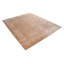 Oriental Area Rug in Beige