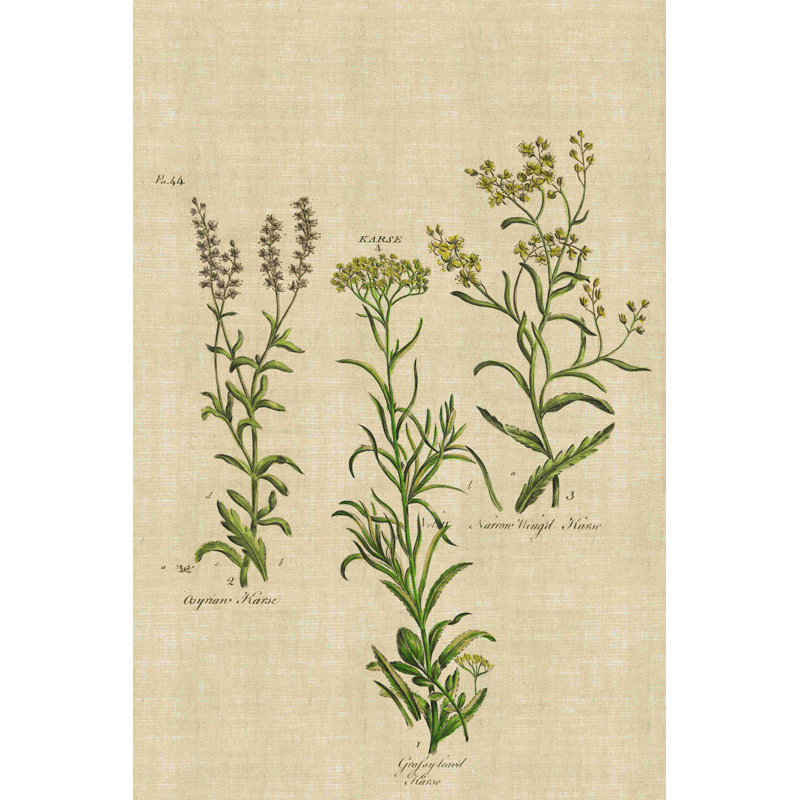 Fleurs sauvages - impression sur toile tendue, H 18 po x l 12 po