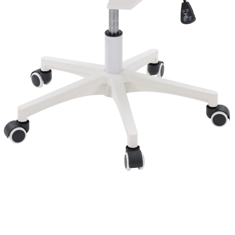 Chaise de bureau Lateasa, Blanc, Gris / noir