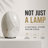 Handcrafted Natural Calcite Accent Table Lamp