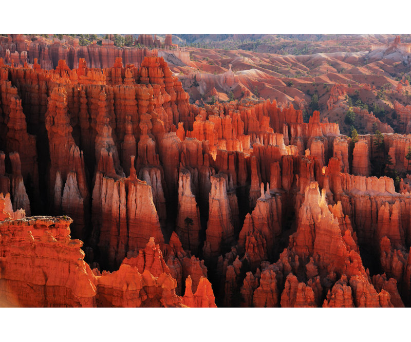 Wrapped Canvas Print, 50.8 cm H x 76.2 cm W