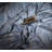 Cotton Sateen Floral Duvet Cover-817578079