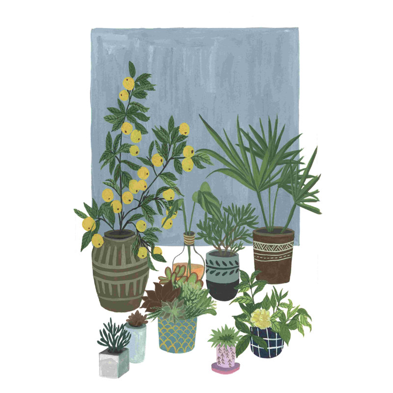 Un portrait de plantes II, H 18 po x l 12 po