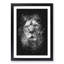 The Proud Lion - Framed Print-56742565-56742566