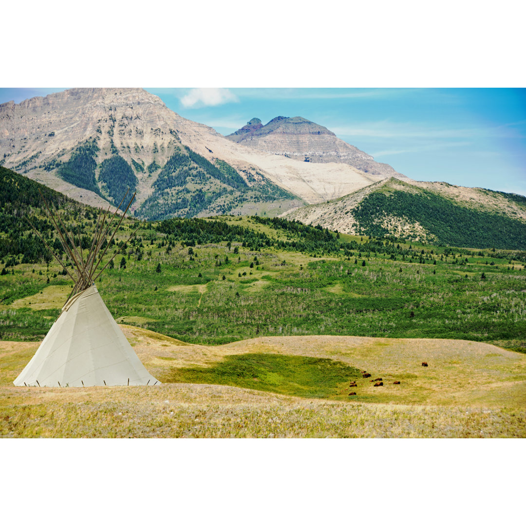 Blackfoot Teepee On Prairie von Wwing - Druck auf Leinwand ohne Rahmen