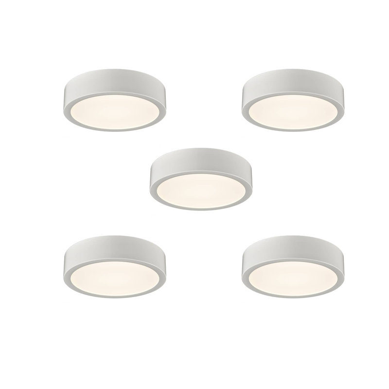 Lilleeana Acrylic LED Spotlight