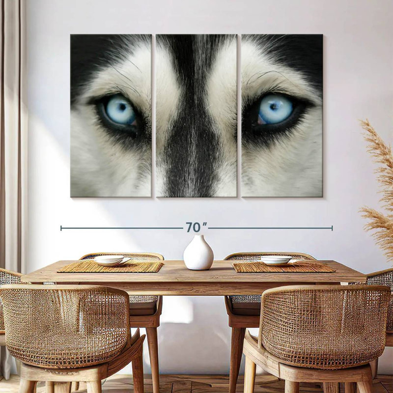 Husky Brampt aux yeux du ciel, H 42 po x l 65 po