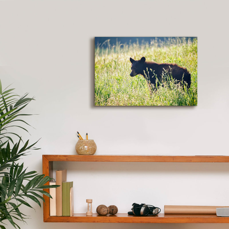 Toile épique «Black Bear Cub» par Rick Berk Epic Graffiti, 18 po x 12 po, H 12 po x l 18 po x P 0,75 po