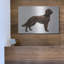 «Irish Setters» par Harro Maass-1914823148