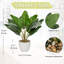 Plante de 4,7 po