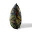Coussin décoratif Adventure Trip-101208834