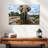 Brampt Safari Elephants-107699196