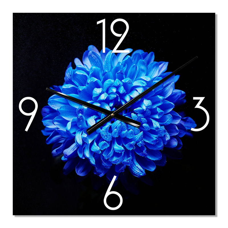 Aster bleu avec gouttes de rosée - Horloge murale traditionnelle, Moyen