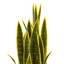 Bleecker, plante serpent artificielle en pot-1456223625-1456223626