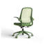 Chaise de bureau ergonomique en filet avec accoudoirs rabattables Sage Green-125403898