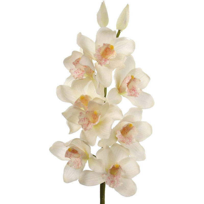 Tige en cymbidium de 30 po de hauteur avec 10 fleurs, Blanc, 6