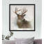 « rainsoft cerf », impression encadrée-1667625313