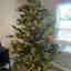 Customer photo 2 of 4