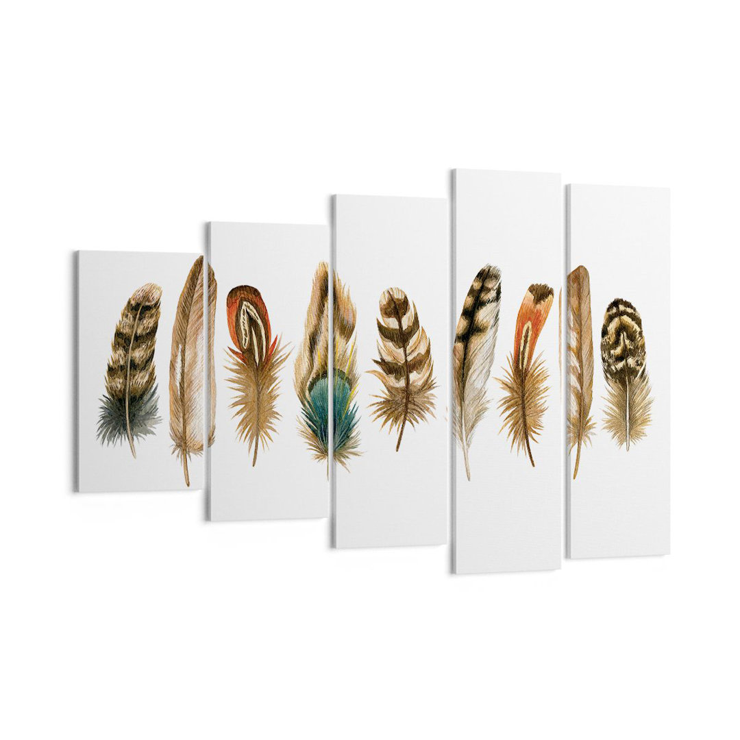 5-tlg. Leinwandbilder-Set White Background Feathers