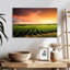 Alvord Vineyard Sunset Horizon-107922910