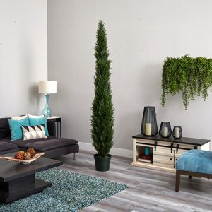 Charlton Home® Faux Cedar Tree in Planter & Reviews | Wayfair