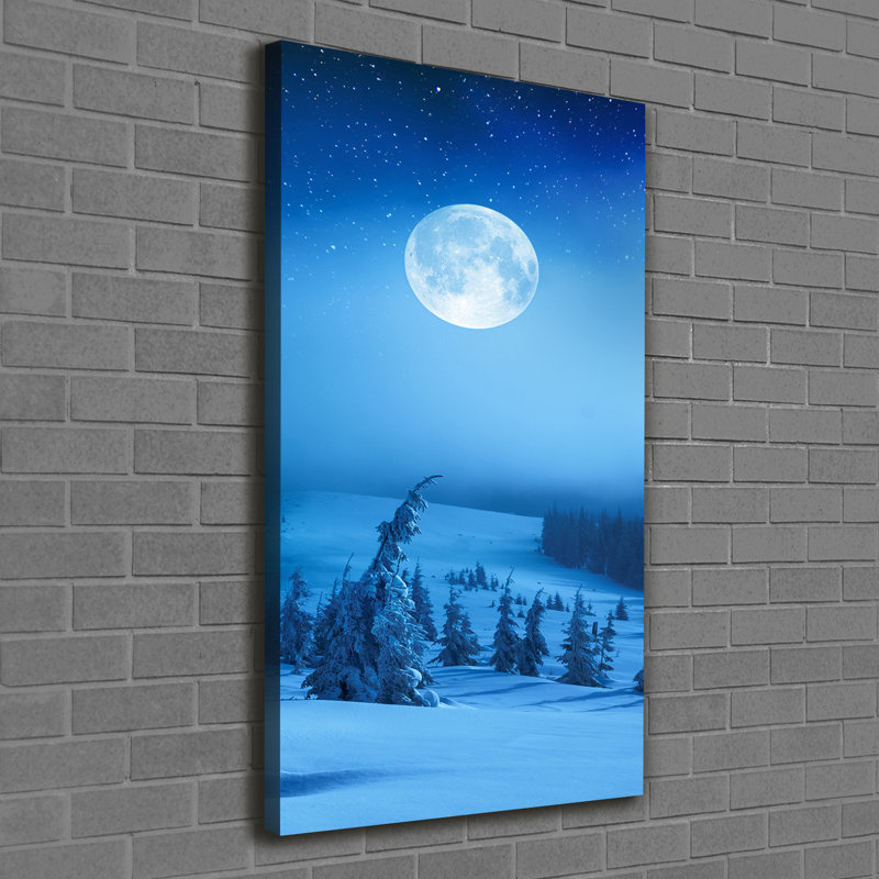 Full Moon - Wrapped Canvas Print