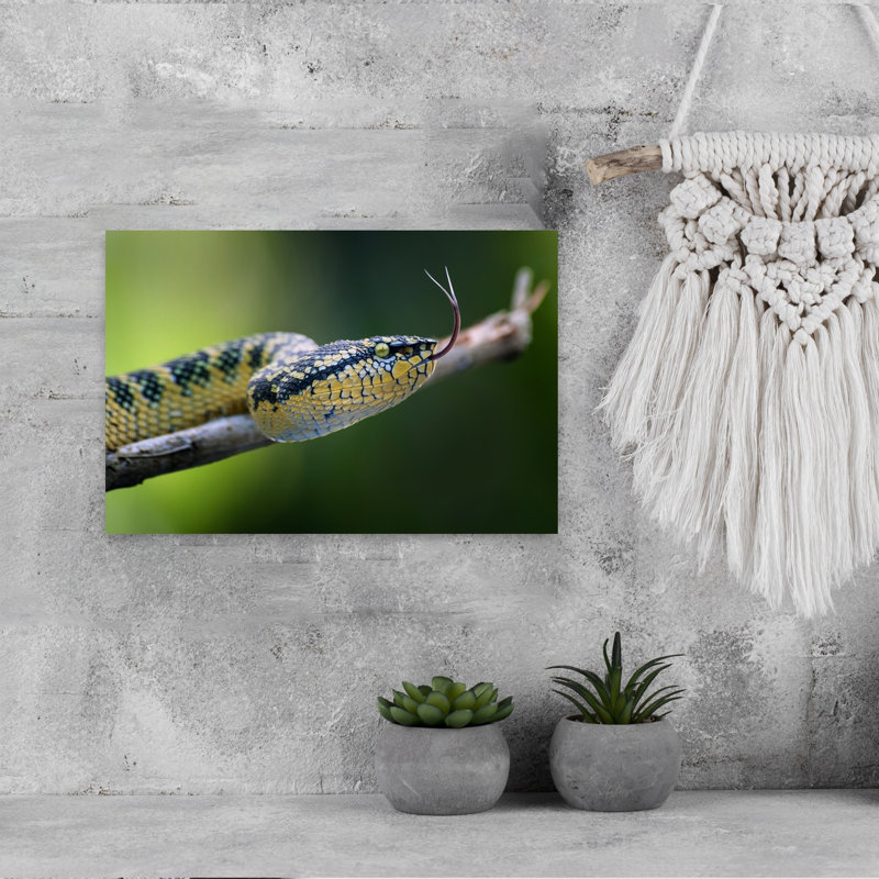 Yellow Viper'S Tongue Abstract Contemporary Snake Forest Landscape Wall Art Print 1 Piece Wrapped Canvas Wall Art