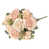 Champagne Peach