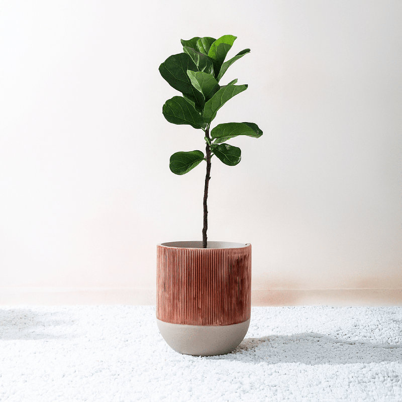 Handmade Flora Round Indoor / Outdoor Metal Planters in Textured Clay Finish with drainage, Medium