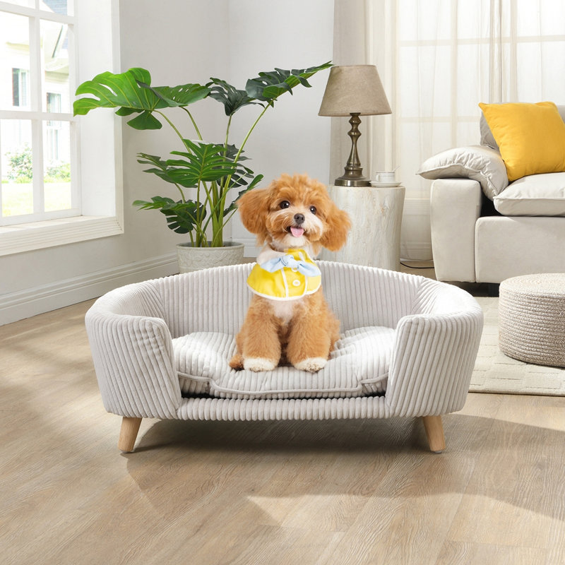 Lit pour chien moderne et contemporain, Beige