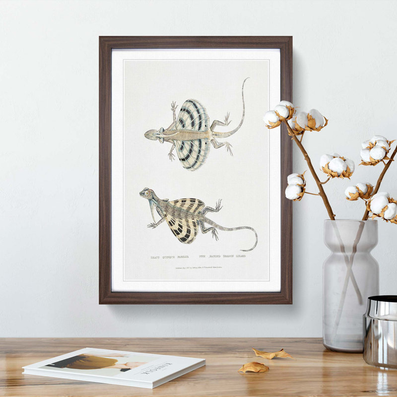 Dragon Lizard by John Edward Gray - Picture Frame Painting Print, 65cm H x 48cm W x 2cm D, Walnut Framed