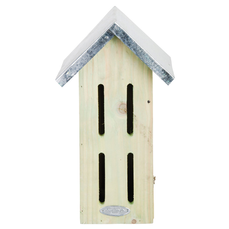 Butterfly Box Fsc 100%