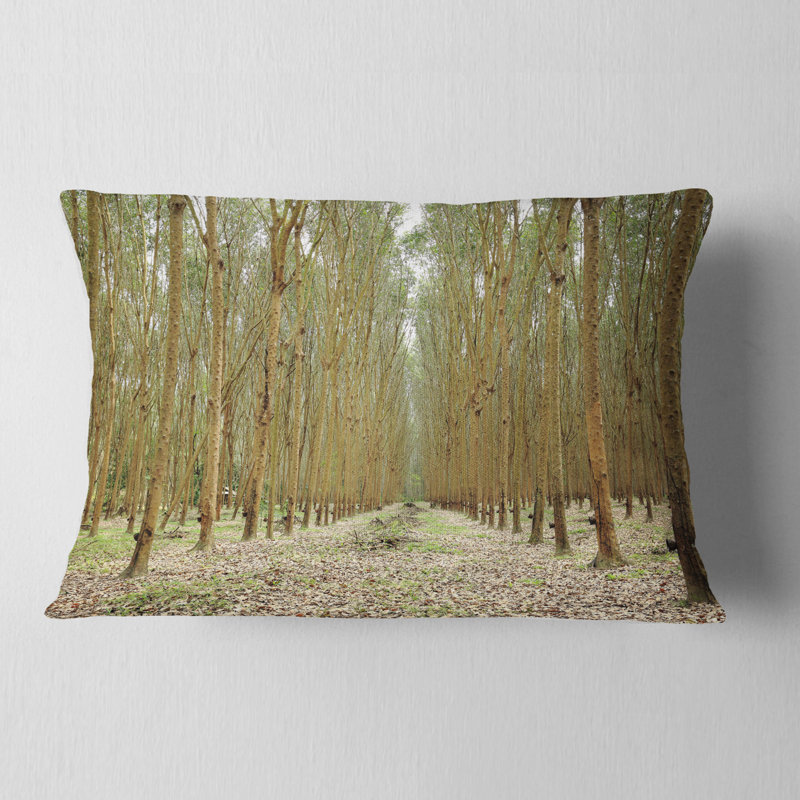 Hévéa, arbres en caoutchouc en Thaïlande - coussin décoratif imprimé forêt, 12 po x 20 po, Rectangle