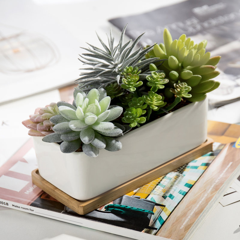Ember 5.5'' Faux Succulent in Pot