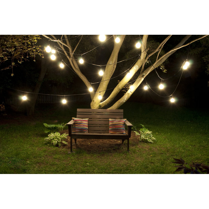 Jothan 48-ft Outdoor 15 - Bulb Standard String Light (End to End Connectable)