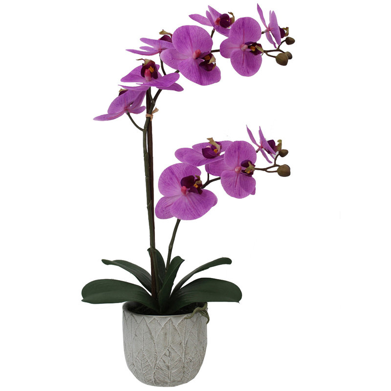 Orchidée artificielle réaliste 22 po avec pot décoratif Mikasa, Rose foncé