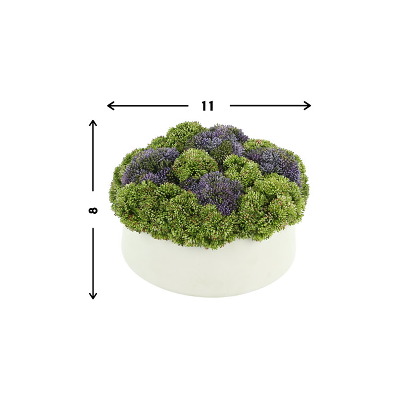 Assorted Sedum Floral Arrangement