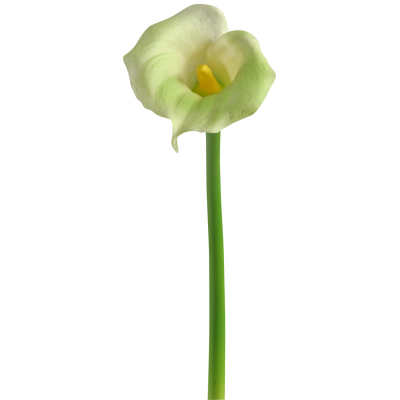 Tige de lis Calla, H 28 po x l 4 po x P 4 po
