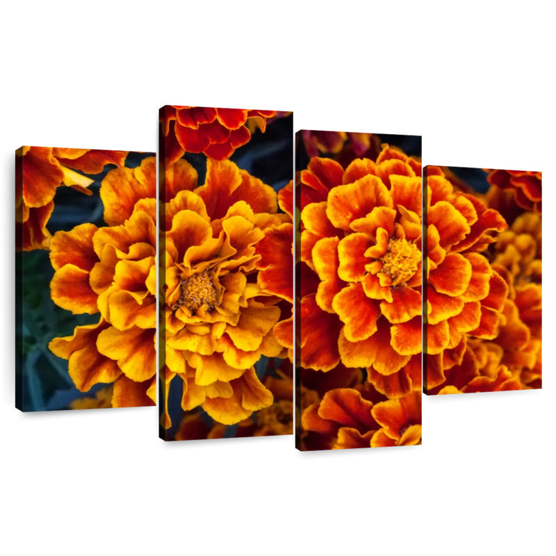 Fleurs de souci Harnek, H 27 po x l 43 po