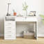 Hadewig Computer Desk-67786214