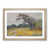 Oak Framed selected