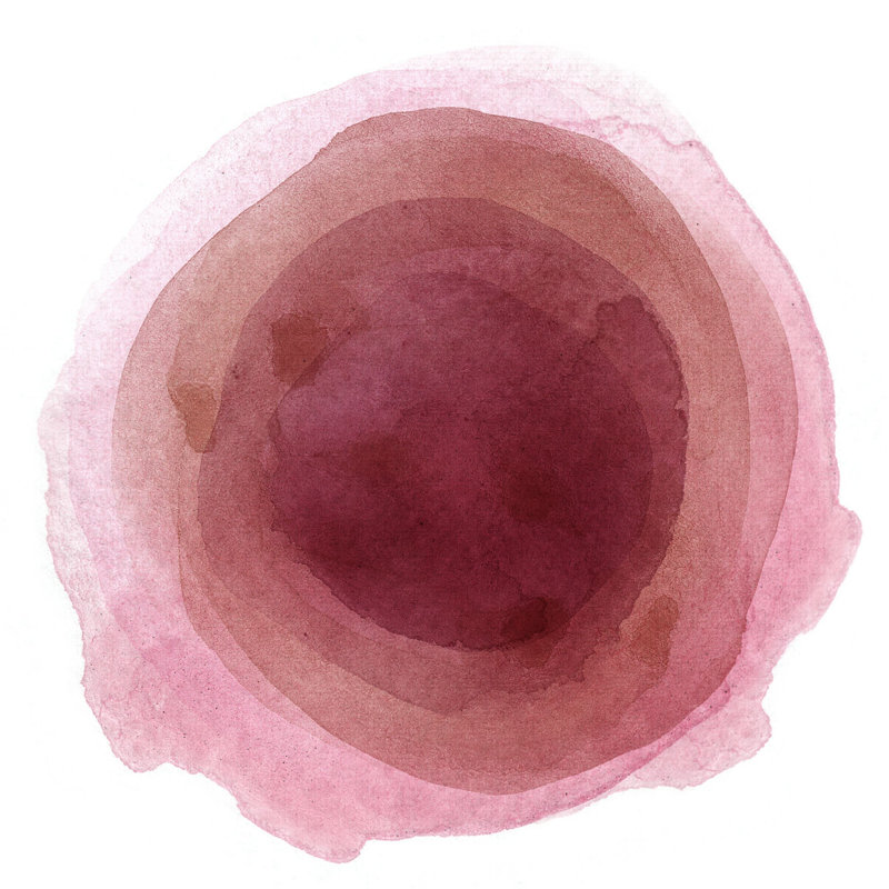 «Alyn Abstract Stain Watercolors» par - peinture sur toile tendue, H 12 po x l 12 po, Rose