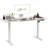 Oakhaven 140cm W Height Adjustable Rectangle Standing Desk
