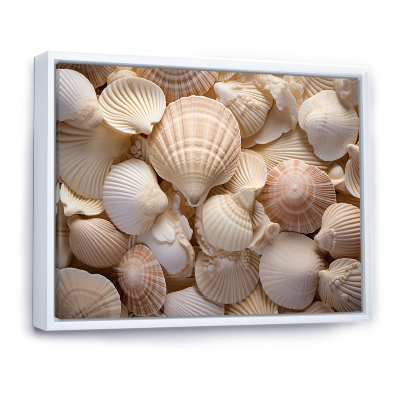 " Beige Clam Seashell Symphony I ", 24" H x 32" W x 1" D, White Floater Framed