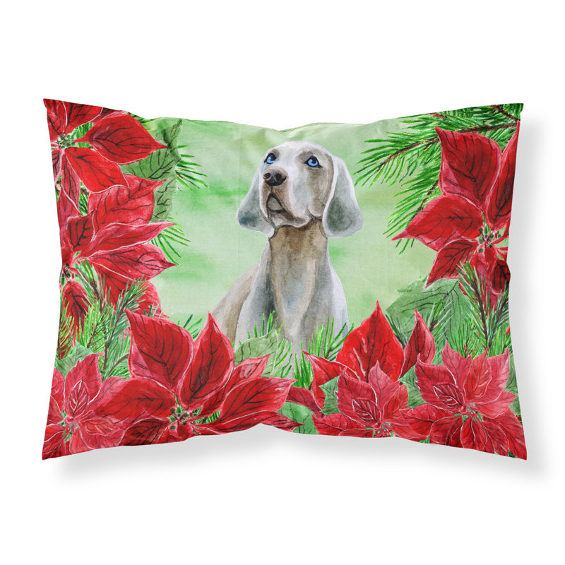 Taie d’oreiller poinsettas, Weimaraner