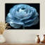 Reproduction d'art mural monochrome noir renoncule congelée - renoncule-2121546052-1882655442