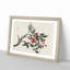 Firethorn Berries by Kono Baireir - Picture Frame Painting Print-55730869-55730870